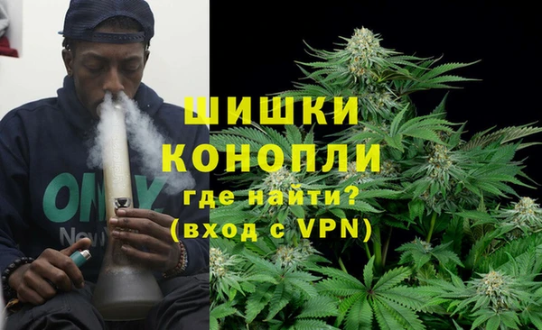 ГАЛЛЮЦИНОГЕННЫЕ ГРИБЫ Пестово