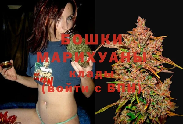 ешки Арсеньев