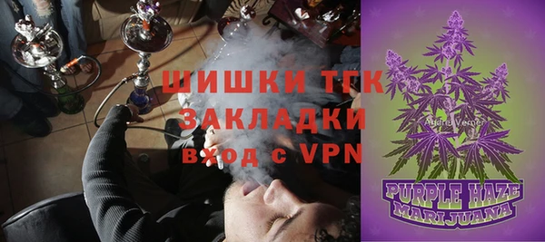 ешки Арсеньев