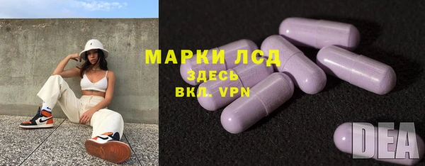 a pvp Аркадак