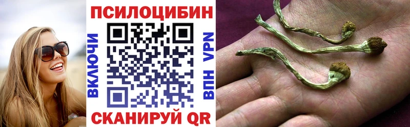 Псилоцибиновые грибы прущие грибы МЕГА как войти сайты даркнета официальный сайт Углегорск